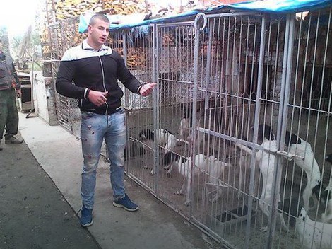 Lazar kaže da je sve pogrešno protumačeno i da je on veliki ljubitelj životinja