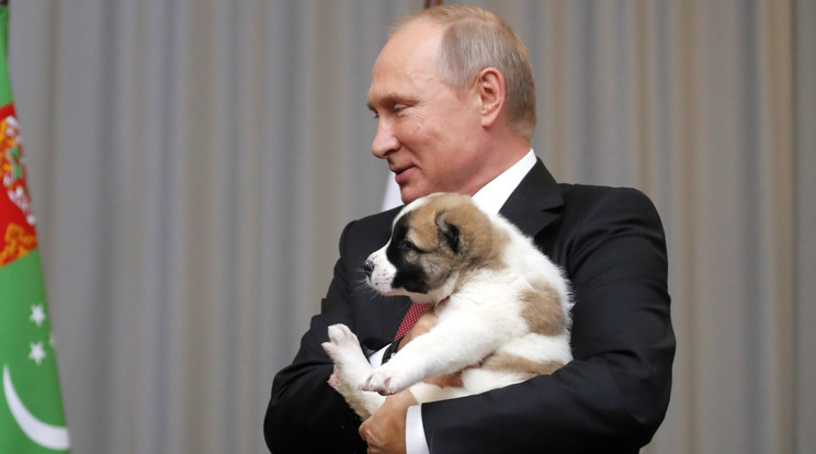 Kiskutyát kapott a türkmén elnöktől Vlagyimir Putyin /Fotó: MTI