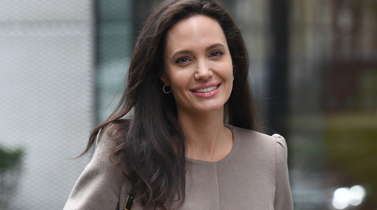 Angelina Jolie már nincs haragban Voighttal /Fotó: Northfoto