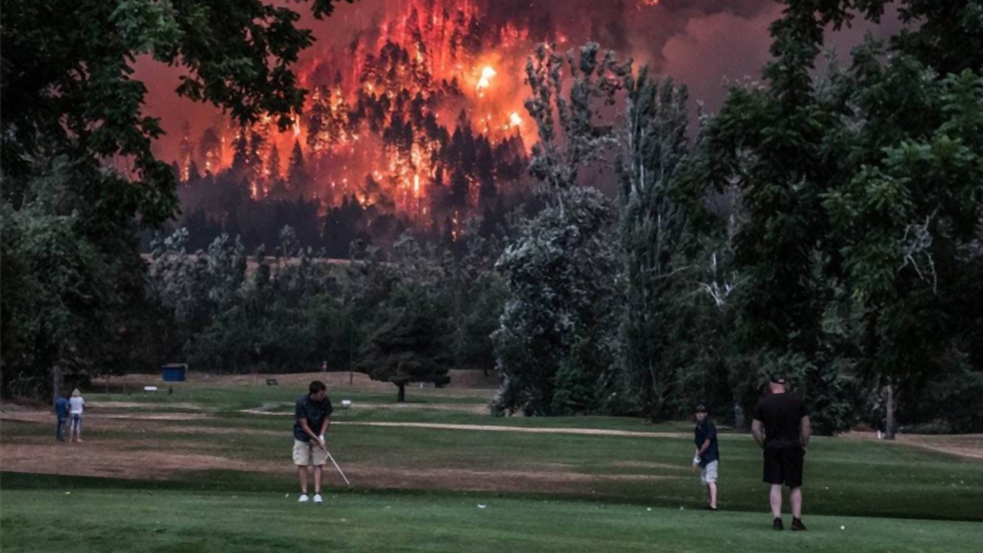 Slika dana: Ma, kakav požar, daj da mi završimo partiju golfa