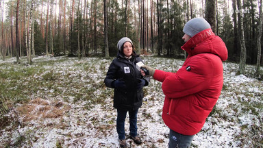 Na ratunek rysiom. Jak próbujemy uratować wymierający gatunek