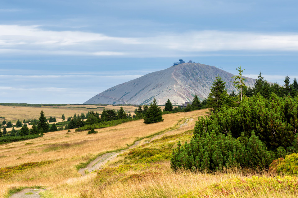 Śnieżka, Sudety