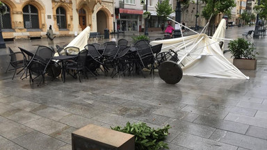 Ponad dwieście interwencji straży, nieczynne ZOO i ogród botaniczny. Łódź liczy straty po burzy