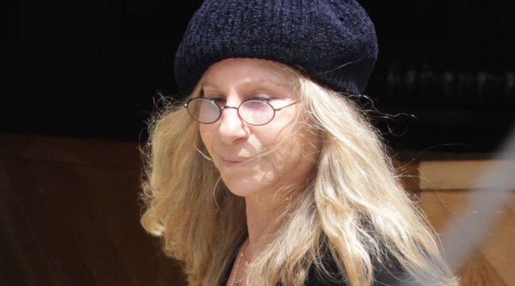 Barbra Streisand  / Fotó:Northfoto