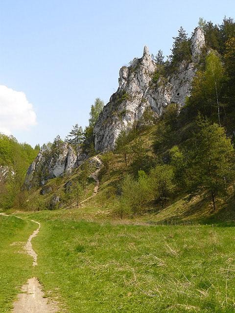 Galeria Polska - okolice Krakowa - Dolina Kobylańska, obrazek 27