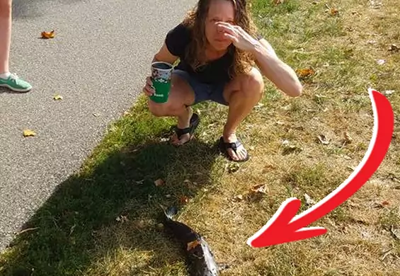 Kobieta szła przez park i na głowę spadła jej ryba. Nawet nie pytajcie, jak to się stało