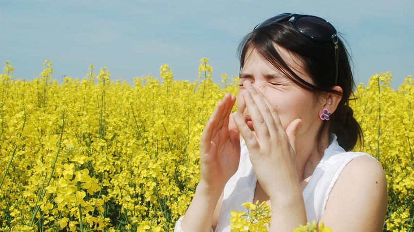 pollenallergia, pollen, allergia, szénanátha