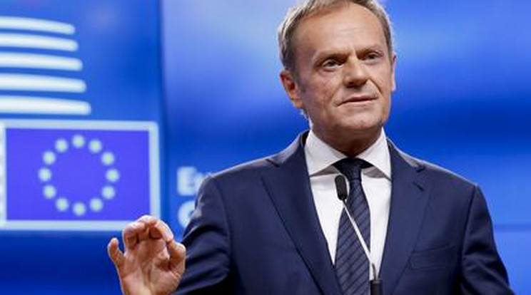 Donald Tusk/ Fotó: Northfoto