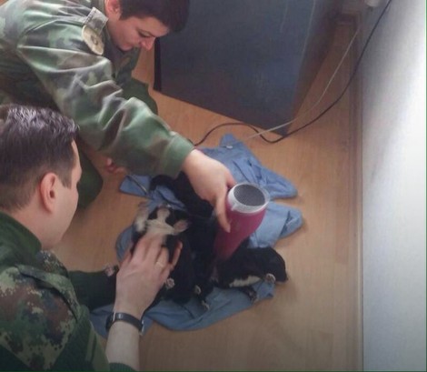 Pripadnici Vojske utopljavali &scaron;tence