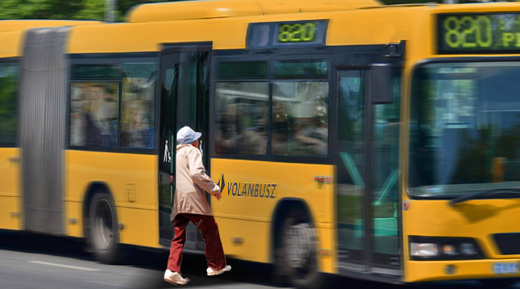 A sofőr nem vette észre a buszról kizuhanó idős asszonyt, akinek egy utas még időben megmentette az életét / Grafika: Séra Tamás