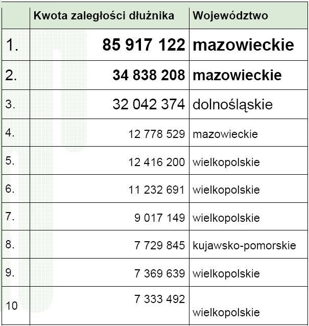 10 najbardziej zadłużonych osób w Polsce