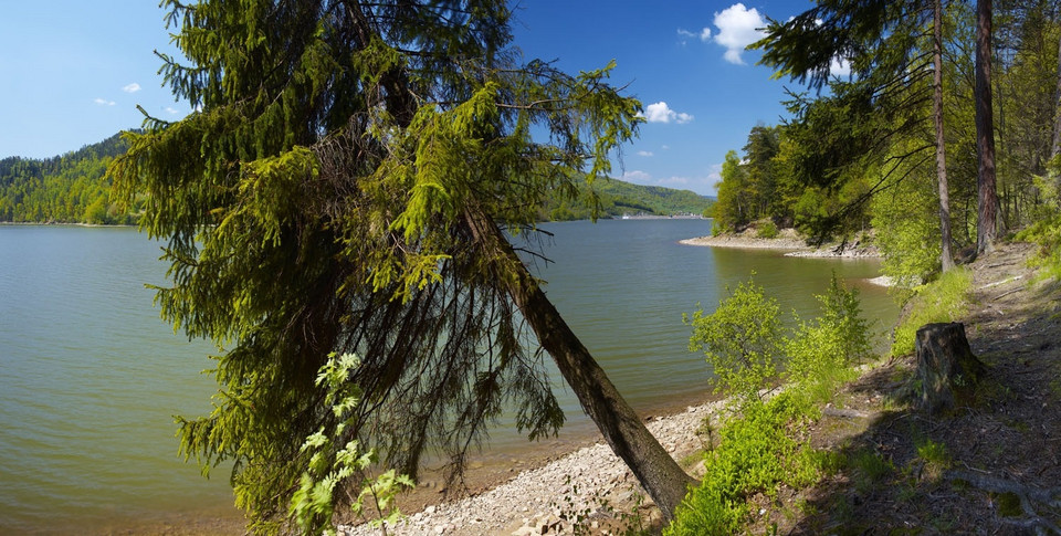 Jezioro Żywieckie, Park Krajobrazowy Beskidu Małego