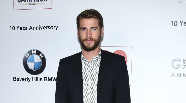 Liam Hemsworth leendő apósa koncertjén vett részt/Fotó: Northfoto