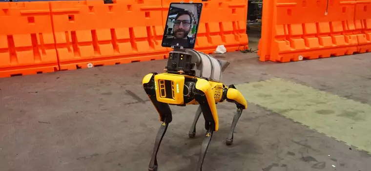 Robot Boston Dynamics pomoże w walce z koronawirusem