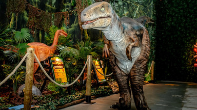 "Jurassic Adventure" – edukacja i zabawa, czyli co robi edukatorka na wystawie