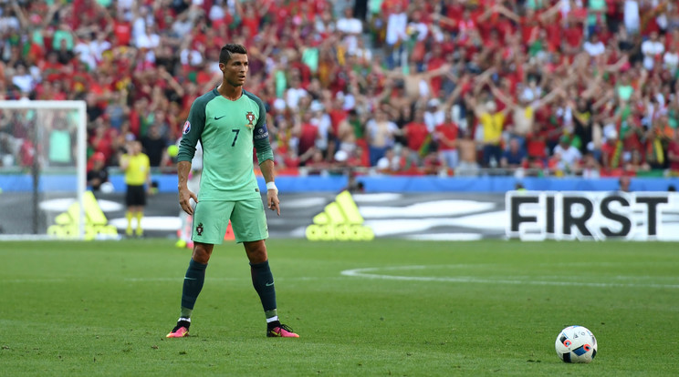 Ronaldo munka iránti szeretete példaértékű. Nála inspirálóbb sportoló nem igazán tarkíthatta volna McGregor edzését /Fotó: AFP