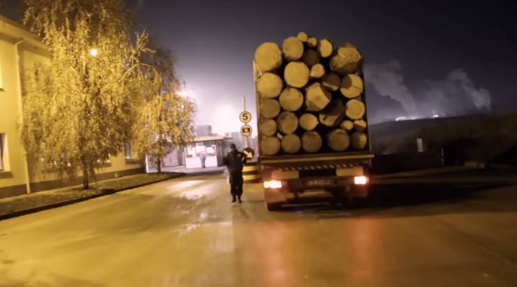 Nemzeti parkból lopják a fákat Romániában / Fotó: YouTube