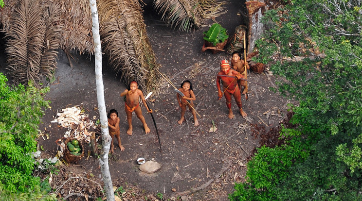 Az Amazonas-medencében sok olyan törzs él, amely semmiféle kapcsolatot sem tart a külvilággal/Fotó: AFP