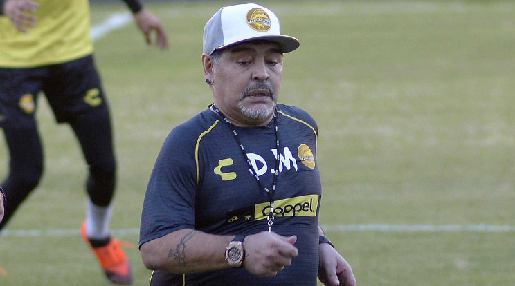 Diego Maradona /Fotó: Northfoto