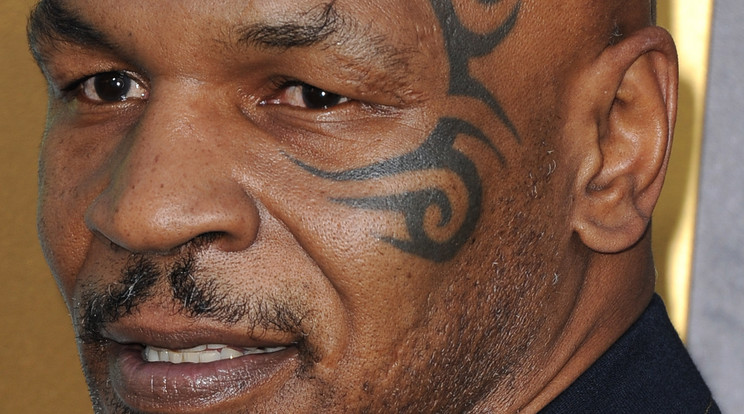 Mike Tyson is megbánta már a tetoválást, hát még a fiú, akinek hegek maradtak az arcán / Fotó: Northfoto