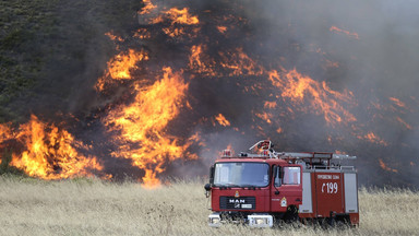 Grecka tragedia: tysiące hektarów lasów spłonęło