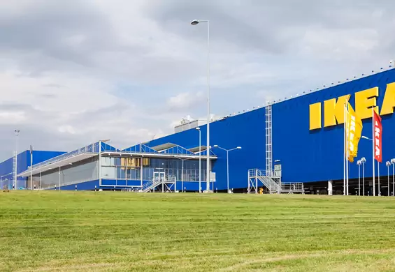IKEA stworzyła w Polsce Studio Pracy, dzięki któremu poznamy markę. To pierwsze takie miejsce na świecie