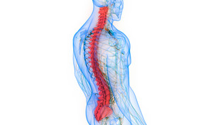 Ból dolnej części pleców - przyczyny, leczenie, objawy, ćwiczenia