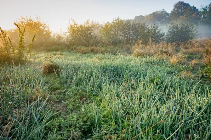 Powyżej zdjęcie zamglone, przed korektą, poniżej - po korekcie filtrem Dehaze i lokalną korektą czerni i bieli