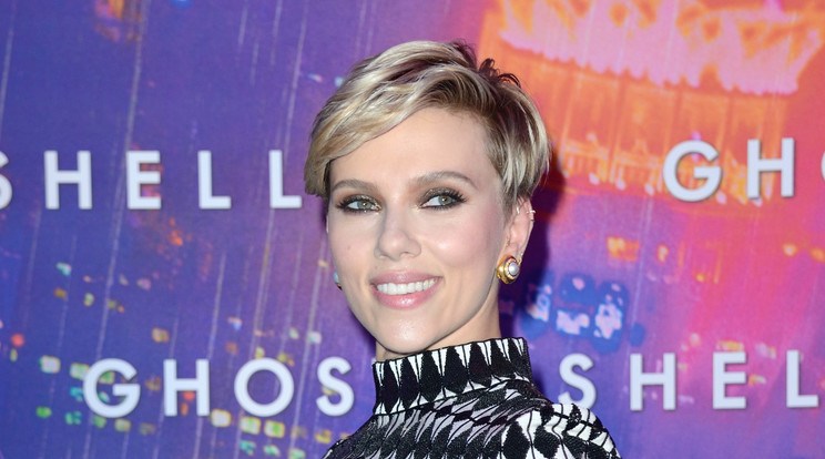 Scarlett Johansson kiállt az igaza mellett/Fotó:Northfto