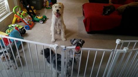 Već je stekao i nove prijatelje