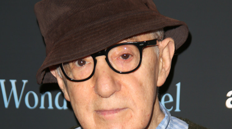 Woody Allen/Fotó:Northfoto