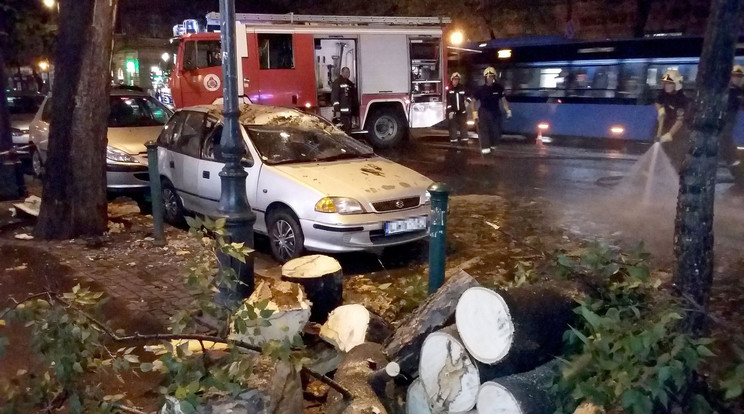 Budapesten,
az Andrássy úton egy autóból csinált roncsot egy kidőlt fa /Fotó: MTI - Mihádák Zoltán