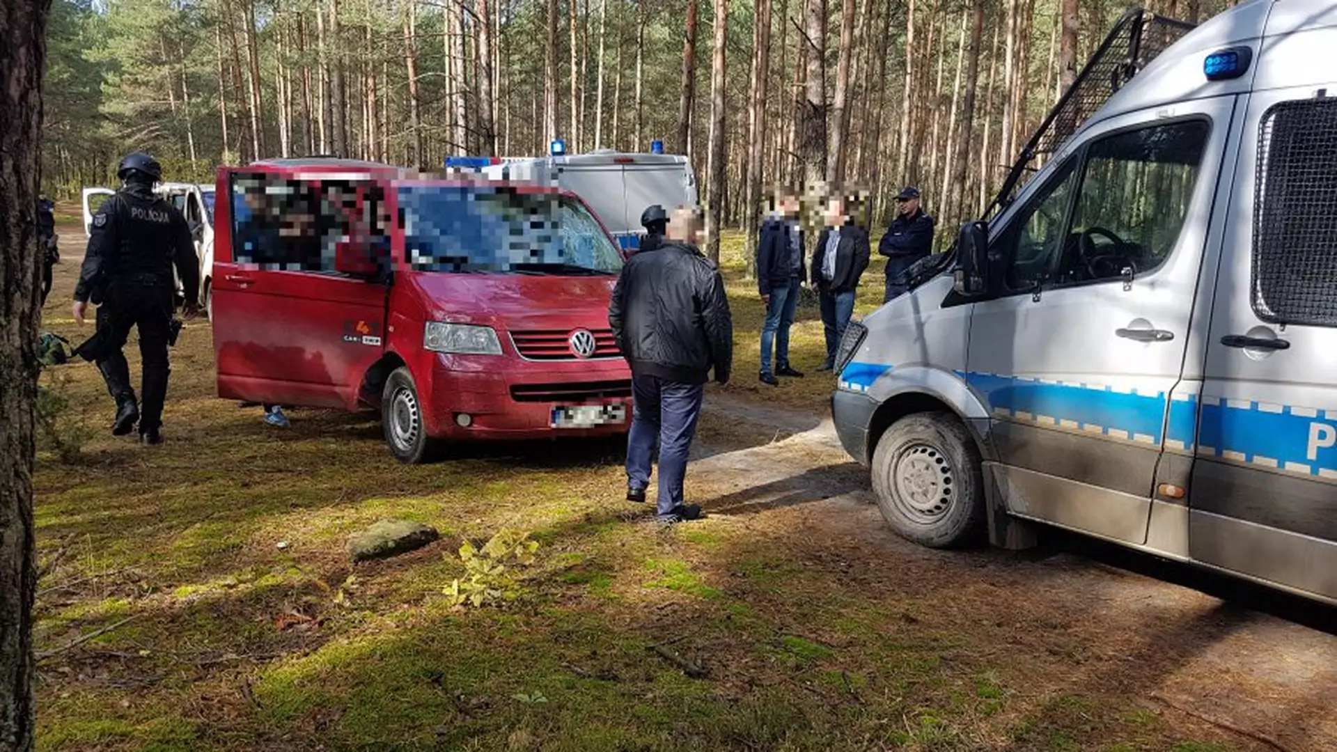 Chcieli zbierać grzyby w rękawicach do MMA. Policja zapobiegła ustawce w lesie