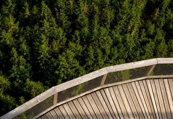 Najdłuższy wiszący most w Europie powstanie tuż za granicą Polski. To może być hit lata 2022