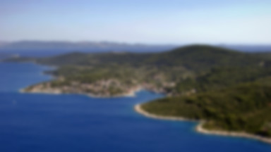 Hałaśliwe koguty terroryzują turystów na chorwackiej wyspie Szolta