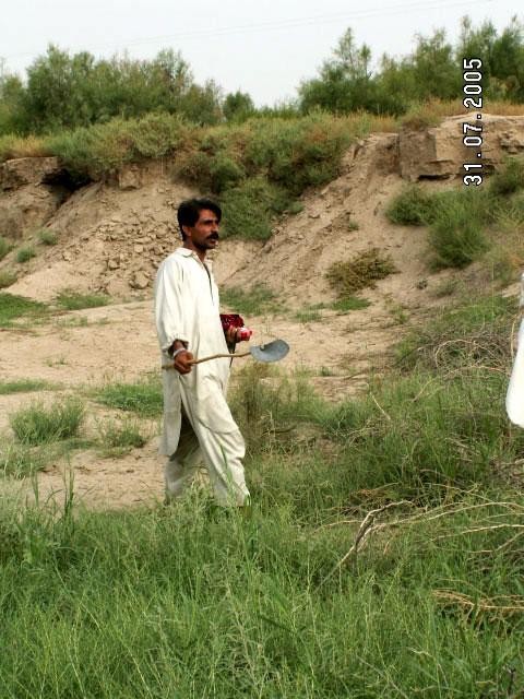 Galeria Cinquecento do Pakistanu i Kaszmiru, obrazek 73