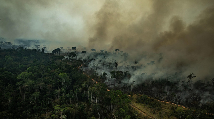 A világ oxigén készletének egyötödét adja az Amazonas, amely három hete lángokban áll / Fotó: MTI EPA