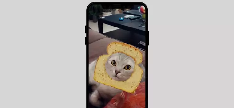 Dzięki Snapchatowi dołożymy filtry naszym kotom