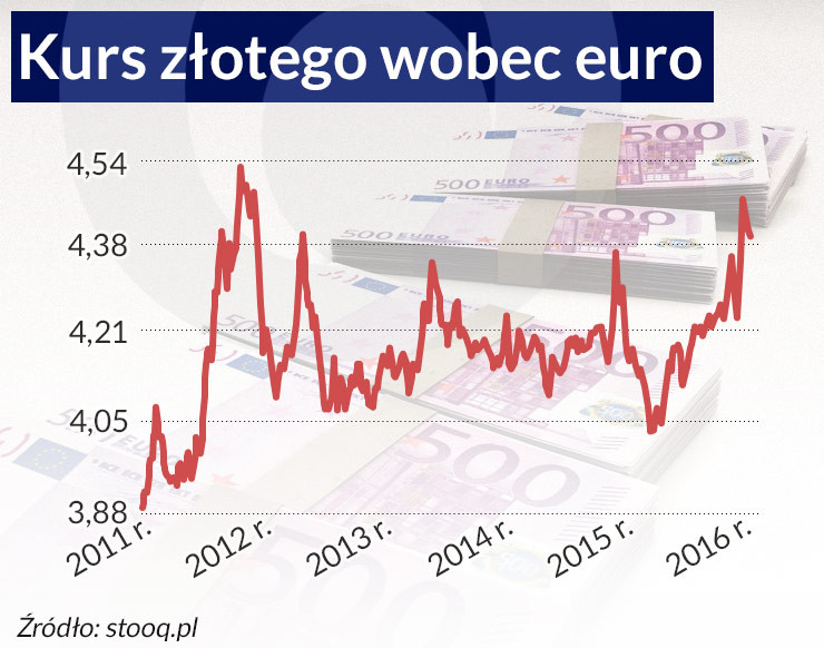 Kurs złotego wobec euro (infografika Dariusz Gąszczyk)