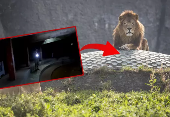 Weszli do podziemi zoo w Warszawie. Wybieg lwów skrywa tajemnicę