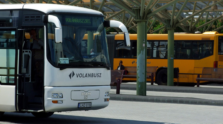 Egy mértert sem fognak mozdulni a buszok /Fotó: MTI