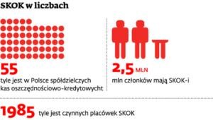 SKOK w liczbach