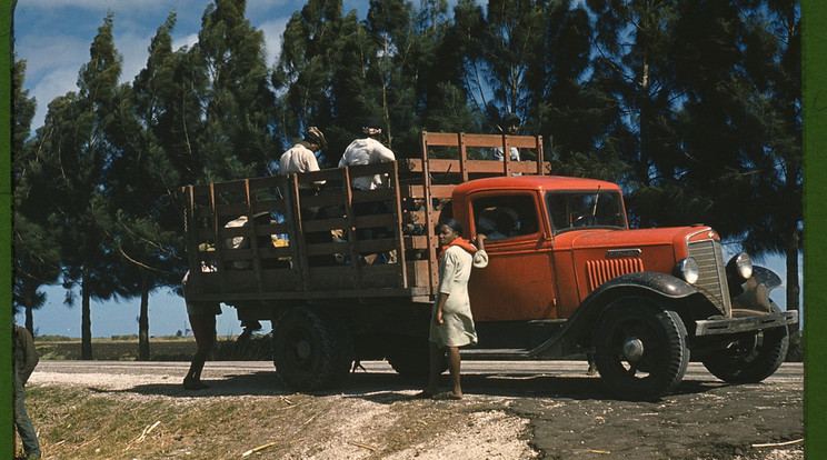 Élet a gyapot ültetvényeken a '30-as években - Fotó: Northfoto