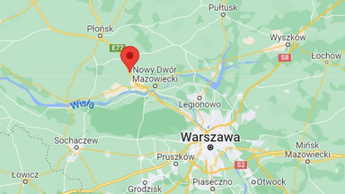 Łoś wbiegł na krajową "siódemkę". W zderzeniu zginął 33-letni pasażer