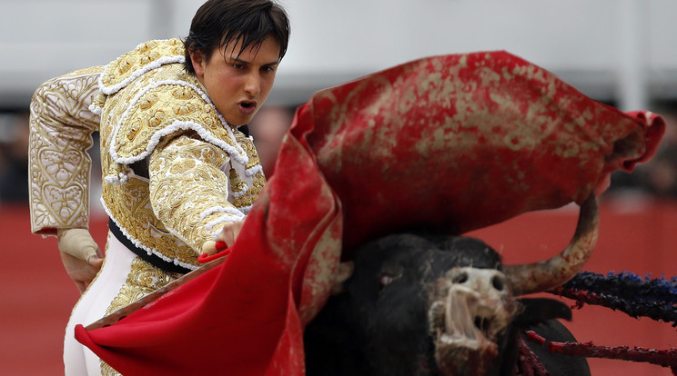 A bikaviadalt nem tudják legyőzni az állatvédők, a matadorok celebként tündökölnek/Fotó: MTI