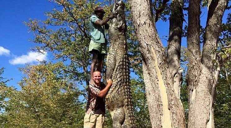 Három ember állt egymás nyakába, hogy a hatalmas állatot fel tudják akasztani /Fotó: Facebook