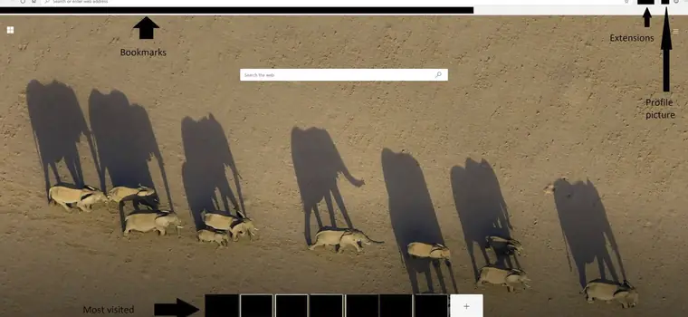 Tak wygląda przeglądarka Edge oparta na silniku Chromium. Mamy pierwsze zdjęcia