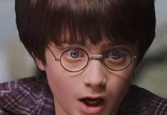 Czesław Miłosz jako pierwszy lansował "Harry’ego Pottera"! Jak książkę zapamiętali inni twórcy?