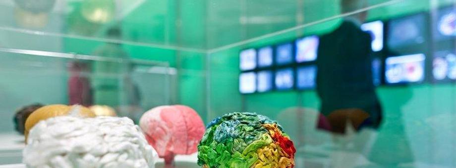 internet mózg nauka badanie umysł ekran
