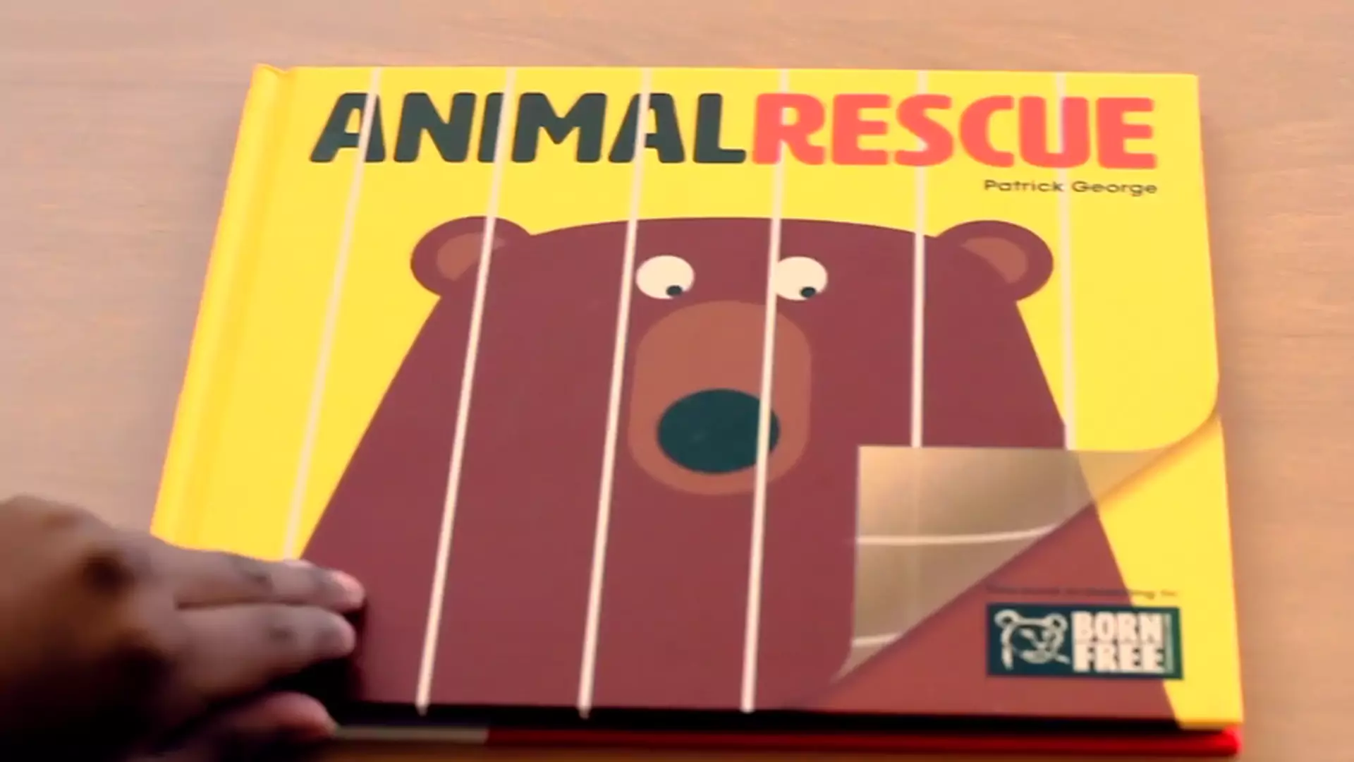 Ta książka uczy więcej niż niejedna lekcja przyrody w szkole. "Ocalić zwierzęta" nie tylko dla dzieci
